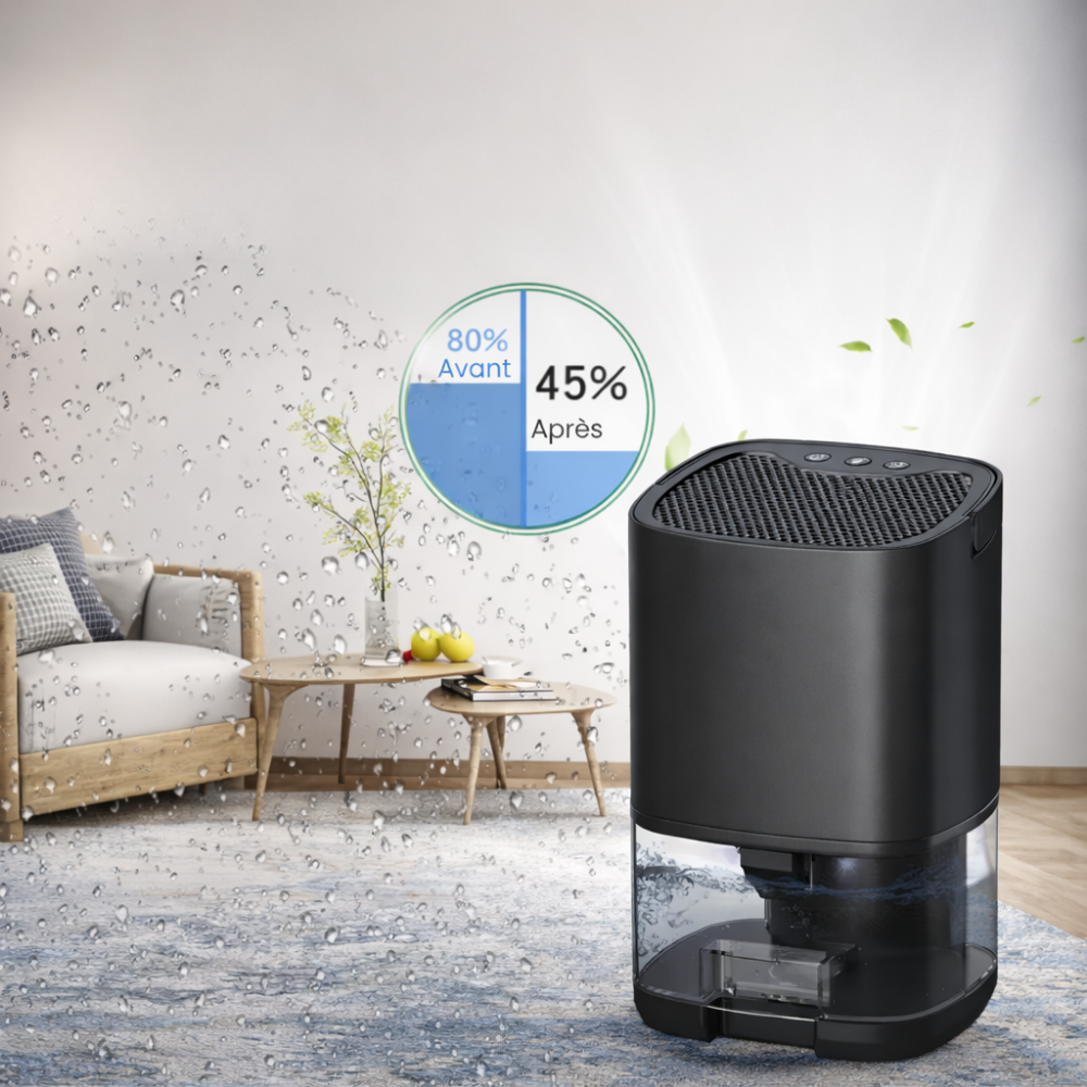 Déshumidificateur compact 36 W – Pièces 11 à 20 m²